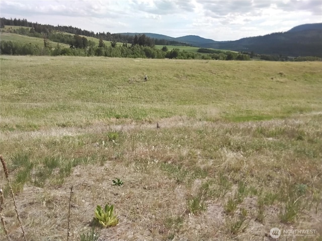 1129 Chesaw Rd, Oroville, WA 98844 - photo 2