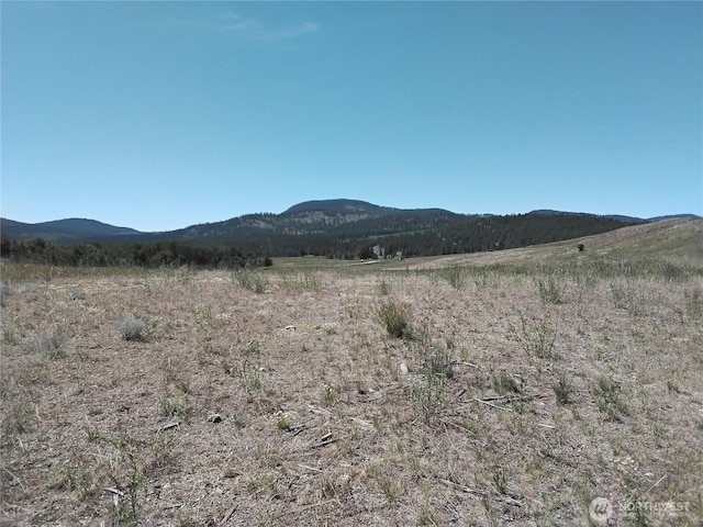 1129 Chesaw Rd, Oroville, WA 98844 - photo 19