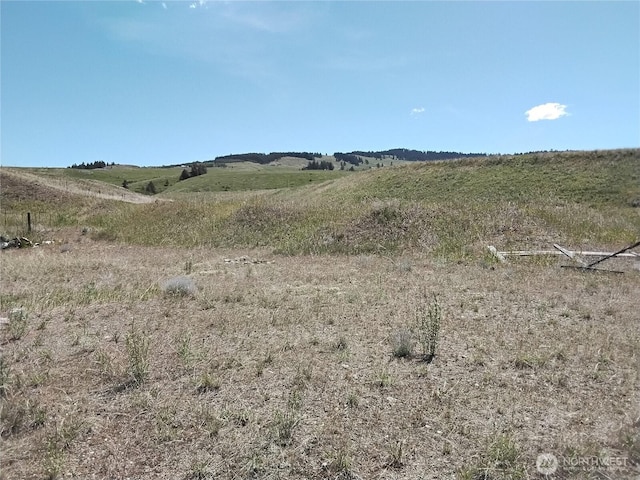 1129 Chesaw Rd, Oroville, WA 98844 - photo 20
