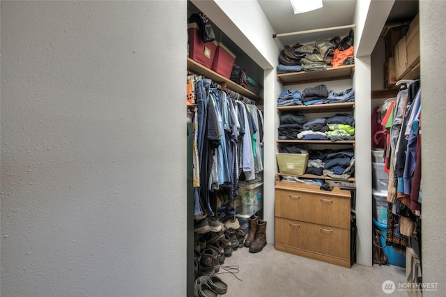 208 N Broadway St, Westport, WA 98595 - walk in closet featuring light colored carpet