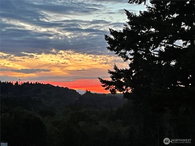 7400 Stinson Ave Unit 315, Gig Harbor, WA 98335 - view of mountain backdrop