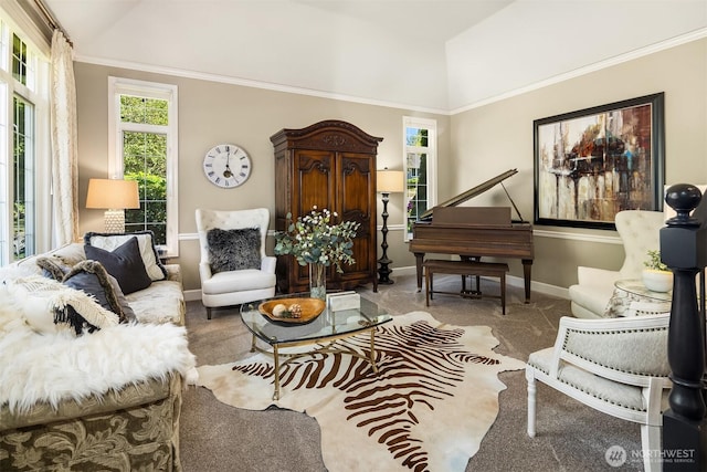 21505 30th Ave SE, Bothell, WA 98021 - carpeted living area with vaulted ceiling and baseboards