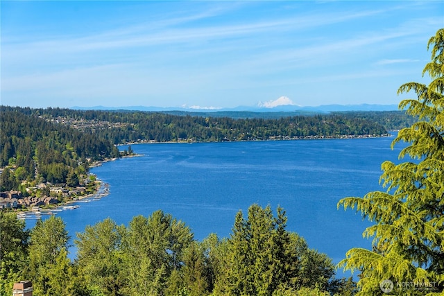 17281 SE 43rd St, Bellevue, WA 98006 - water view featuring a heavily wooded area and a mountain backdrop