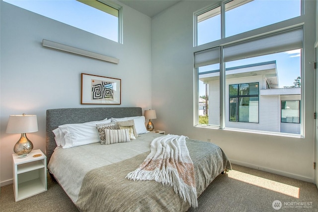 430 Prune Aly Unit B, Orcas Island, WA 98245 - carpeted bedroom featuring baseboards and a towering ceiling
