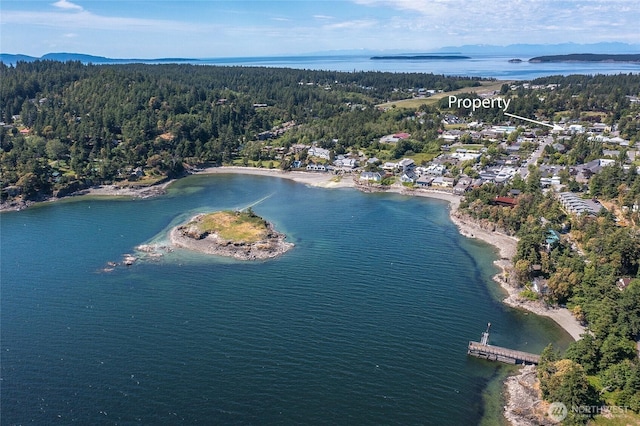 430 Prune Aly Unit B, Orcas Island, WA 98245 - aerial view of a heavily wooded area and a nearby body of water