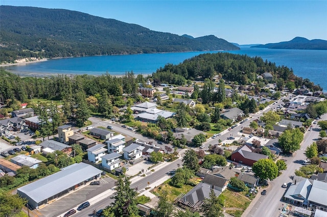 430 Prune Aly Unit B, Orcas Island, WA 98245 - aerial perspective of suburban area with a water and mountain view and a forest
