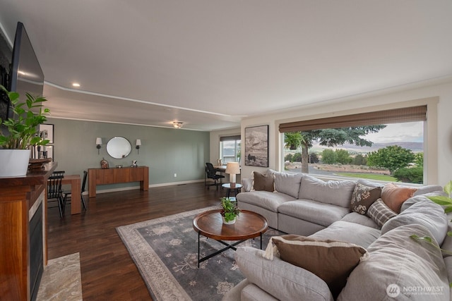 12009 NW Dodson Rd, Ephrata, WA 98823 - living area featuring dark wood-type flooring, baseboards, and recessed lighting