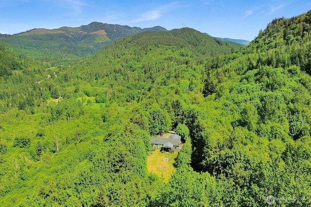 1055 Falls Dr, Bellingham, WA 98229 - view of mountain backdrop featuring a heavily wooded area
