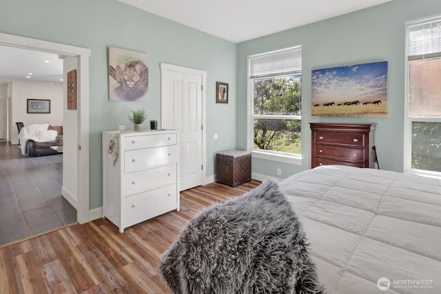 1055 Falls Dr, Bellingham, WA 98229 - bedroom featuring wood finished floors, baseboards, and recessed lighting