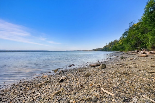 699 Lehman Dr, Camano Island, WA 98282 - water view