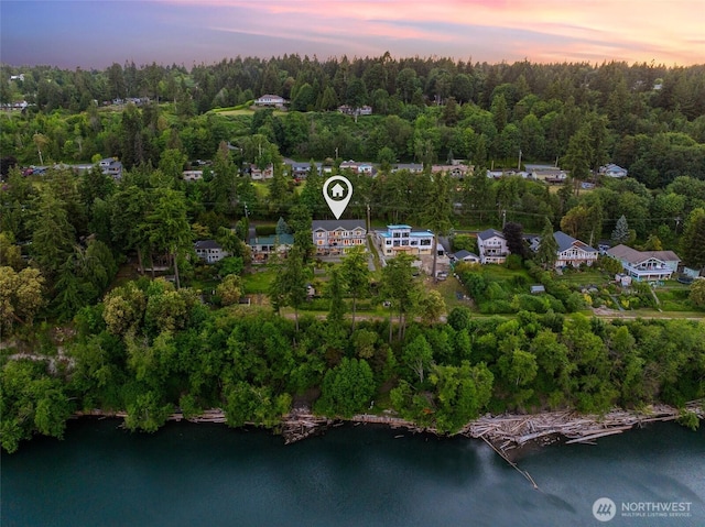 699 Lehman Dr, Camano Island, WA 98282 - view of property location featuring a large body of water and a forest