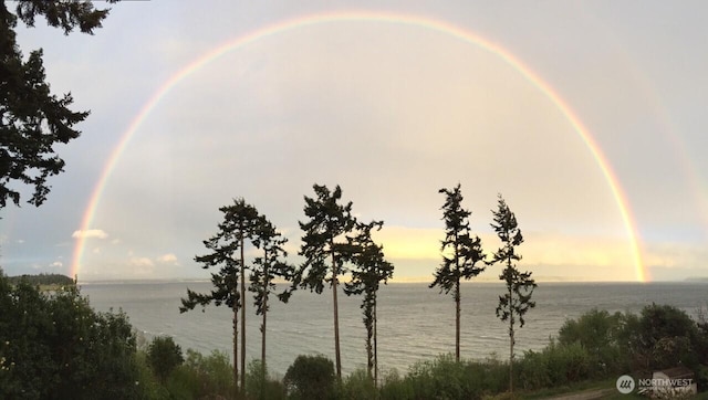 699 Lehman Dr, Camano Island, WA 98282 - water view