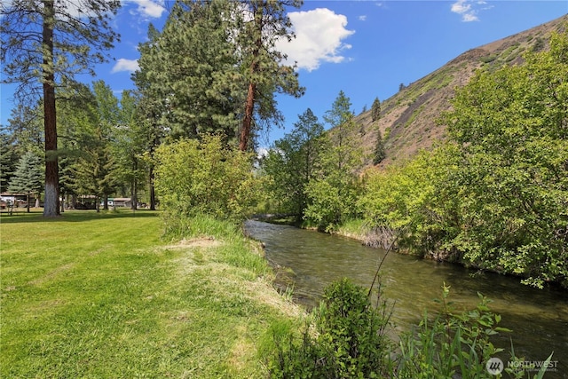 51 Deer Meadow Ln, Naches, WA 98937 - photo 34