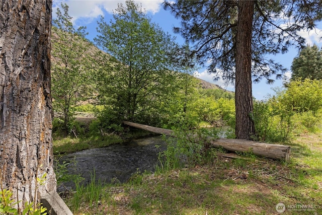 51 Deer Meadow Ln, Naches, WA 98937 - photo 35