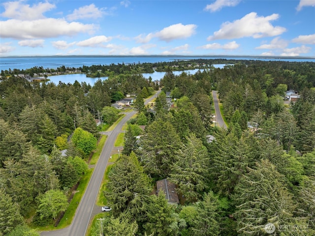 407 SE Mount Olympus Ave, Ocean Shores, WA 98569