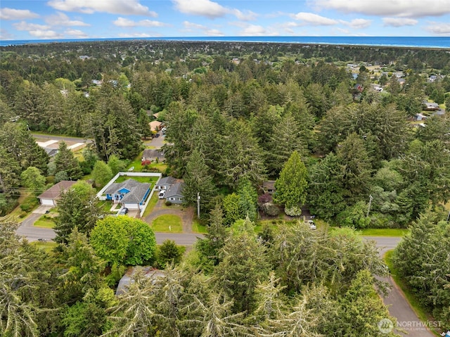 407 SE Mount Olympus Ave, Ocean Shores, WA 98569