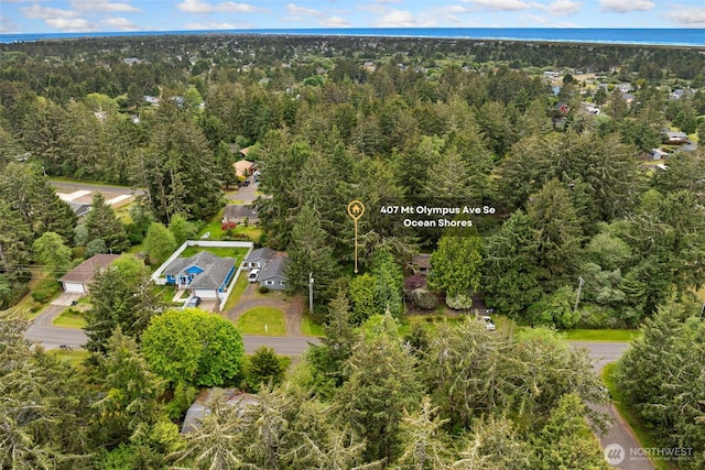 407 SE Mount Olympus Ave, Ocean Shores, WA 98569