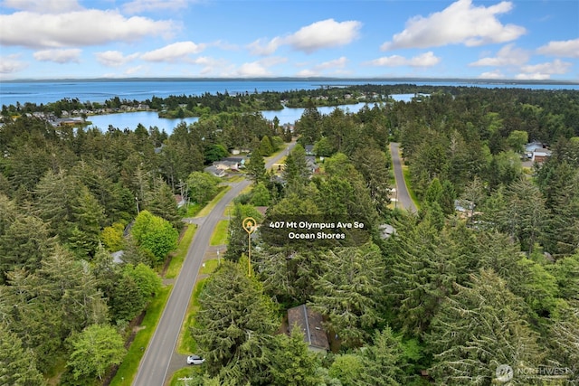 407 SE Mount Olympus Ave, Ocean Shores, WA 98569