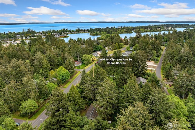 407 SE Mount Olympus Ave, Ocean Shores, WA 98569