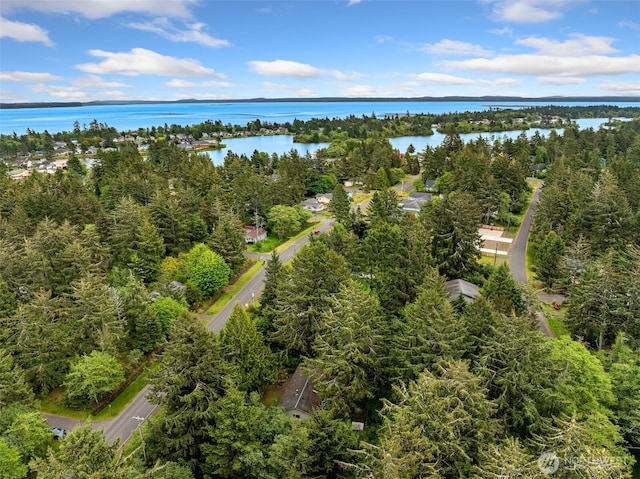 407 SE Mount Olympus Ave, Ocean Shores, WA 98569