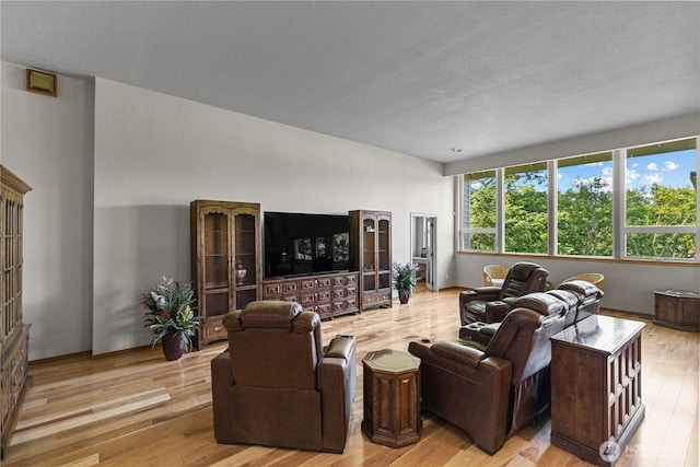 3726 SW 313th St, Federal Way, WA 98023 - living room featuring light wood finished floors