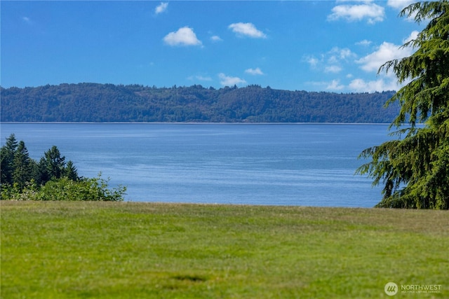 3726 SW 313th St, Federal Way, WA 98023 - water view with a forest