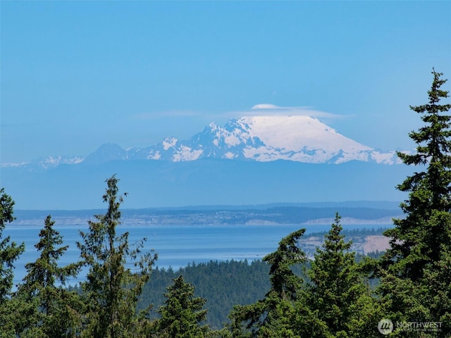 1068 Happy Valley Rd, Sequim, WA 98382 - water view featuring a mountainous background