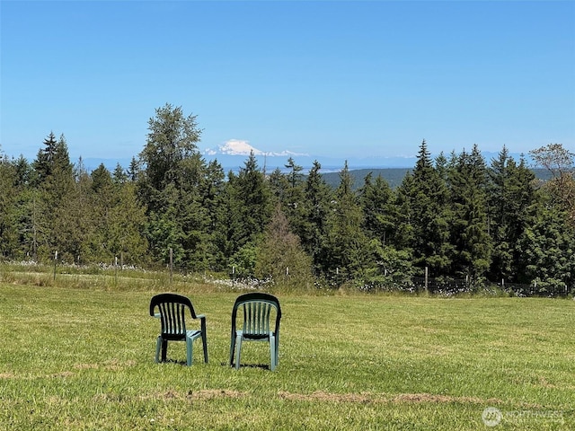 1068 Happy Valley Rd, Sequim, WA 98382 - view of grassy yard with a wooded view