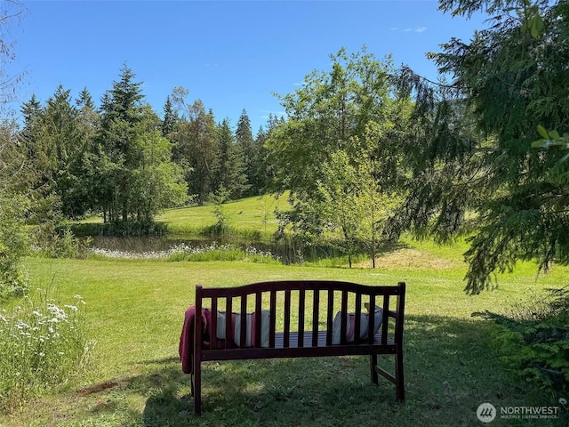 1068 Happy Valley Rd, Sequim, WA 98382 - view of grassy yard