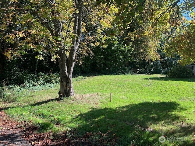328E 40th St, Tacoma, WA 98404 - photo 8