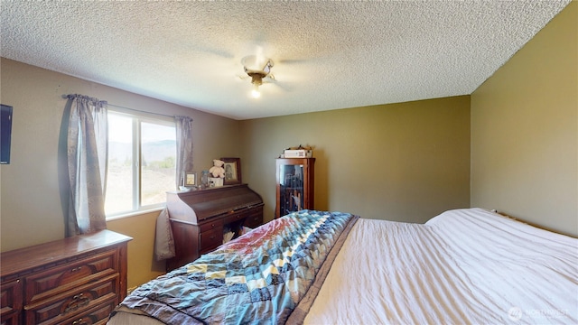 6 Elgin Way, Oroville, WA 98844 - bedroom with a textured ceiling and a ceiling fan