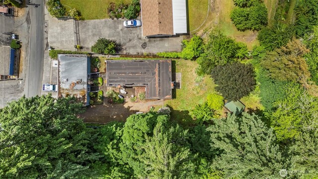 1101 152nd St S, Spanaway, WA 98387 - photo 39