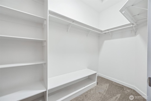 13123 320th Street Ct E, Graham, WA 98338 - walk in closet featuring carpet floors