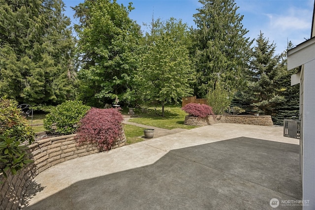 13123 320th Street Ct E, Graham, WA 98338 - view of patio / terrace