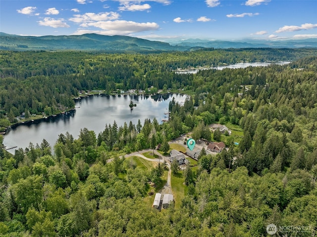 13123 320th Street Ct E, Graham, WA 98338 - bird's eye view of a forest and a water and mountain view