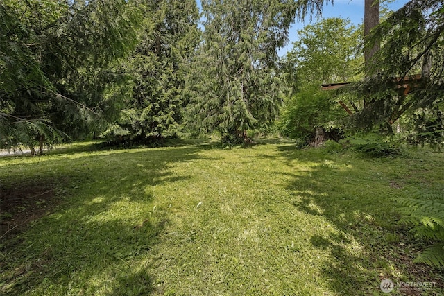 13123 320th Street Ct E, Graham, WA 98338 - view of grassy yard featuring a view of trees