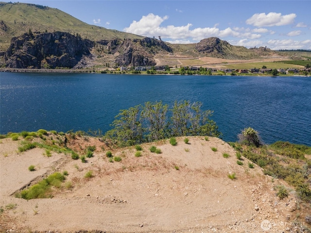 2523 Stayman Flats Rd, Chelan, WA 98816