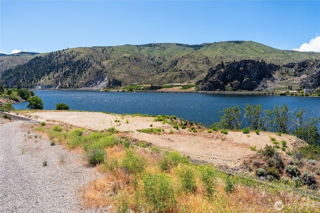 2523 Stayman Flats Rd, Chelan, WA 98816