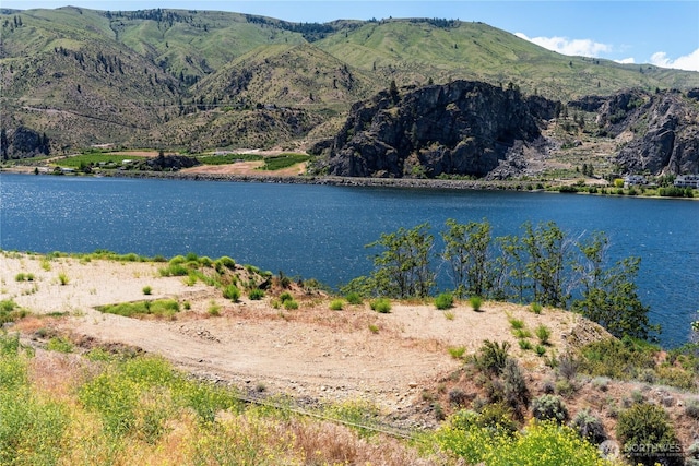 2523 Stayman Flats Rd, Chelan, WA 98816