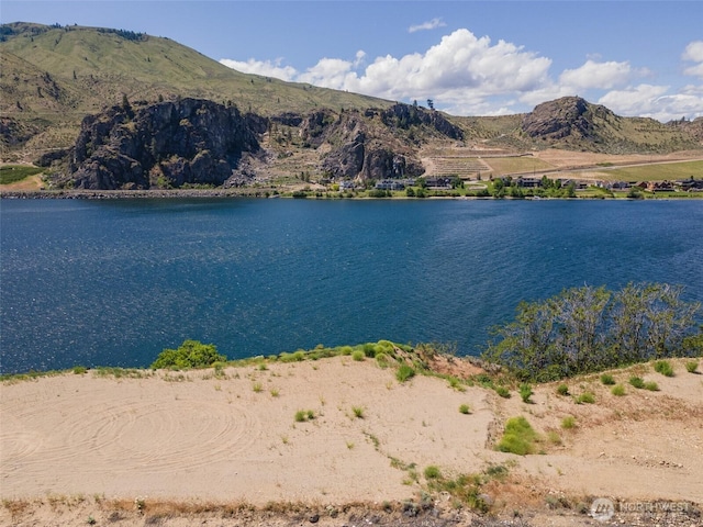 2523 Stayman Flats Rd, Chelan, WA 98816