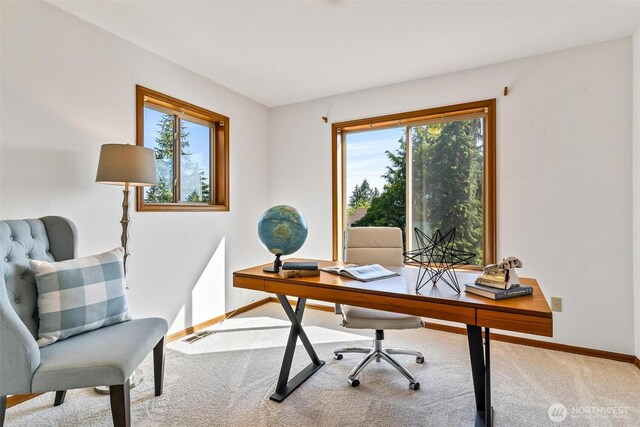 16515 126th Ave NE, Woodinville, WA 98072 - home office featuring plenty of natural light, carpet, and baseboards