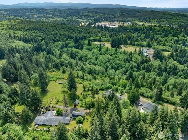 138 Stamper Rd, Elma, WA 98541 - aerial overview of property's location with a forest and a mountain backdrop