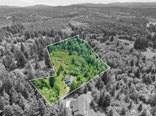 138 Stamper Rd, Elma, WA 98541 - aerial view of a heavily wooded area and a mountain backdrop