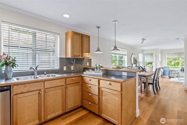 10309 Midvale Ave N Unit B, Seattle, WA 98133 - kitchen with a sink, stainless steel dishwasher, a peninsula, light wood finished floors, and plenty of natural light