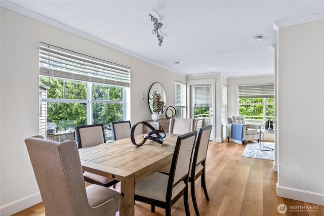10309 Midvale Ave N Unit B, Seattle, WA 98133 - dining space featuring baseboards, ornamental molding, and light wood-style floors