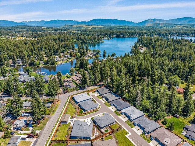 29215 217th Ct SE, Black Diamond, WA 98010 - aerial view of residential area featuring a forest and a water and mountain view