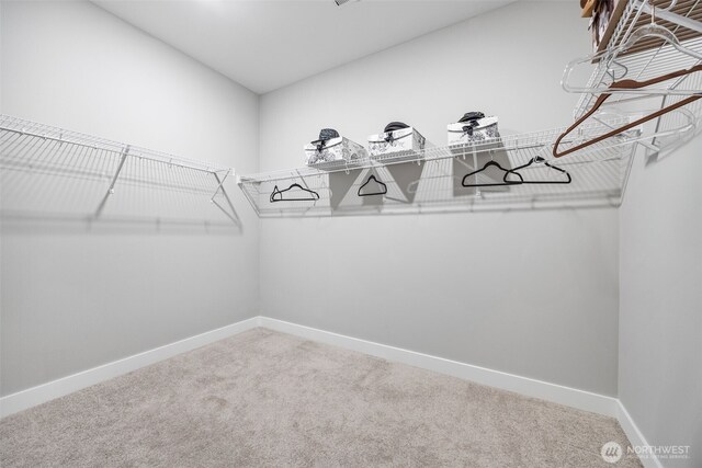 29215 217th Ct SE, Black Diamond, WA 98010 - spacious closet with carpet