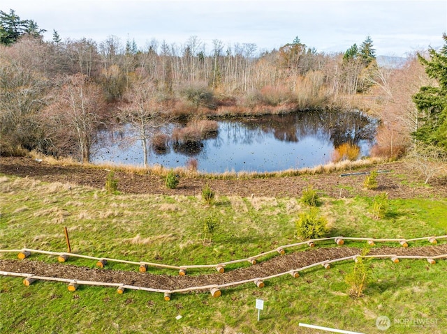 3906 Crosswinds Ct, Anacortes, WA 98221 - water view with a heavily wooded area