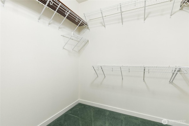 7417 53rd Street Ct W, University Place, WA 98467 - spacious closet with dark colored carpet