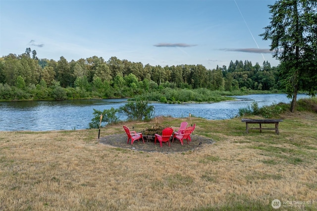 3447 Old Lewis River Rd, Woodland, WA 98674 - photo 35